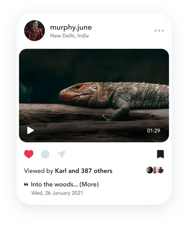 Στιγμιότυπο οθόνης Instagram για ένα βίντεο